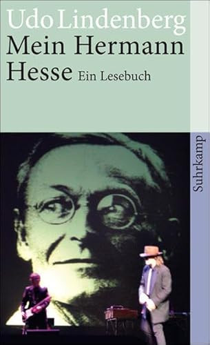 Mein Hermann Hesse: Ein Lesebuch (suhrkamp taschenbuch)